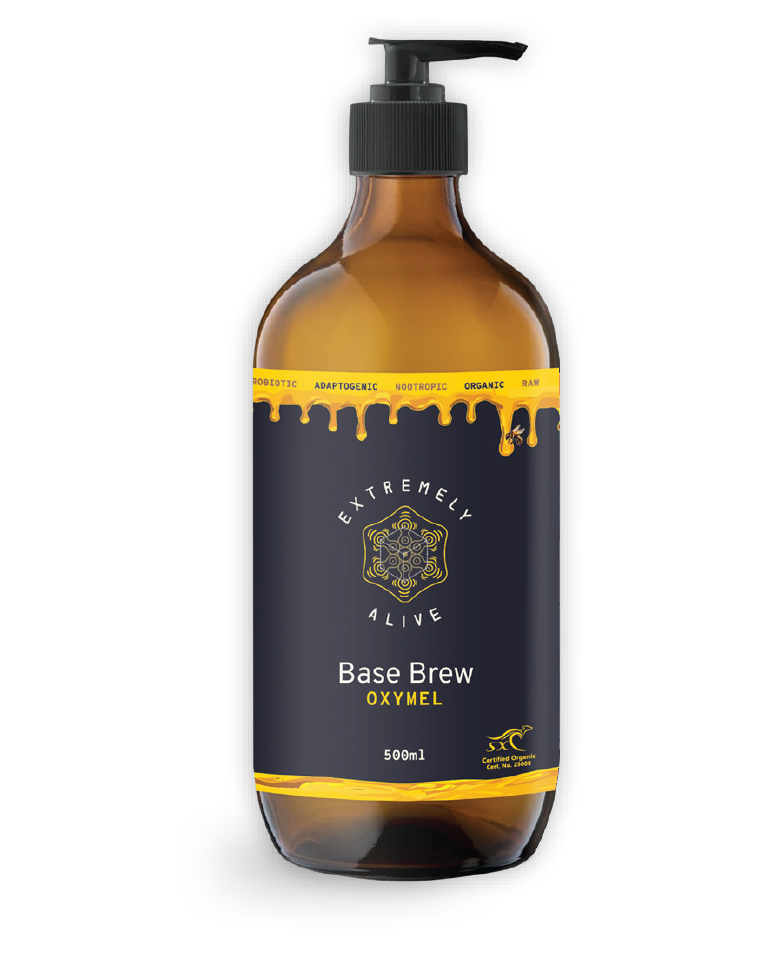 Base Brew - Oxymel