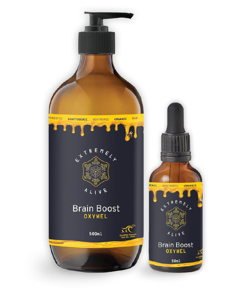 Brain Booster - Oxymel
