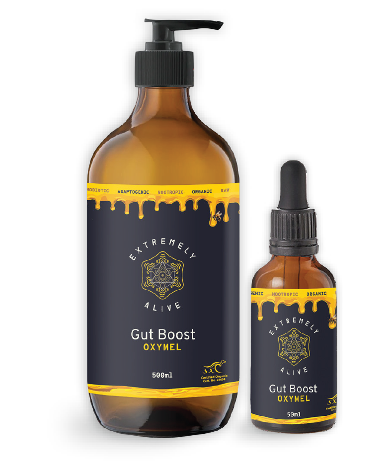 Gut Balance - Oxymel