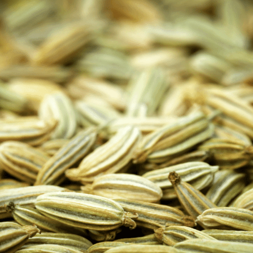 ingredients-fennel