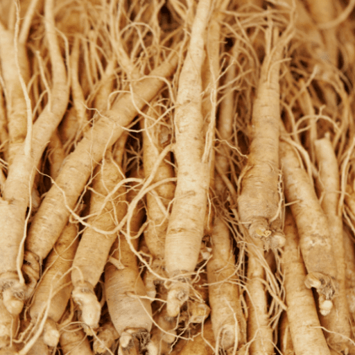 ingredients-ginseng