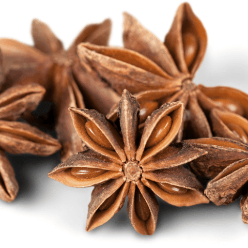 ingredients-star-anise